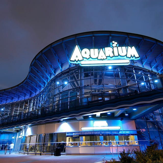 downtown-aquarium-denver-entry-ticket_1